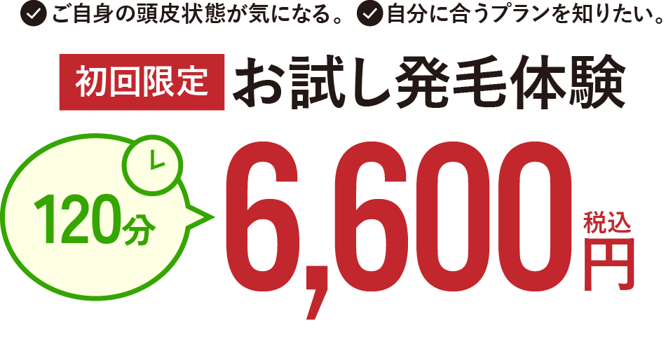 お試し体験6600円